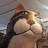 sizeable-cat